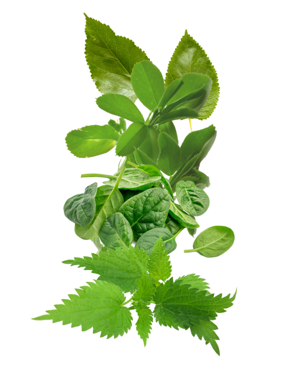 greens